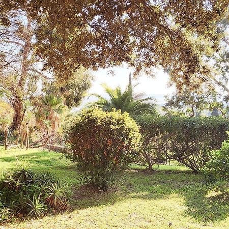 La Suite Costabella A Hyeres-Les-Palmiers Extérieur photo